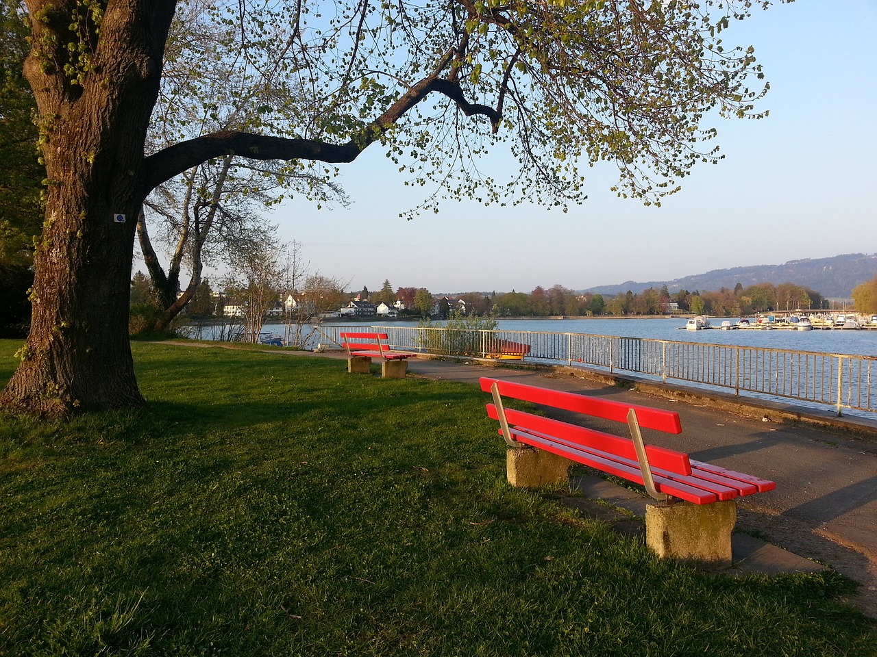 总冠军有力 总冠军有力