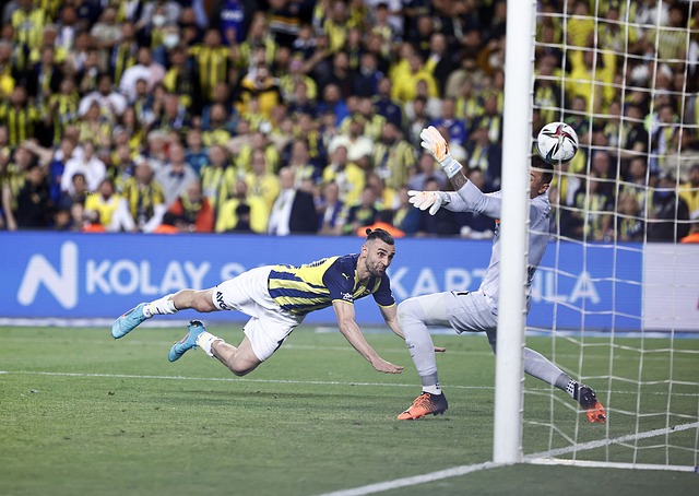 为保守的战 为保守的战