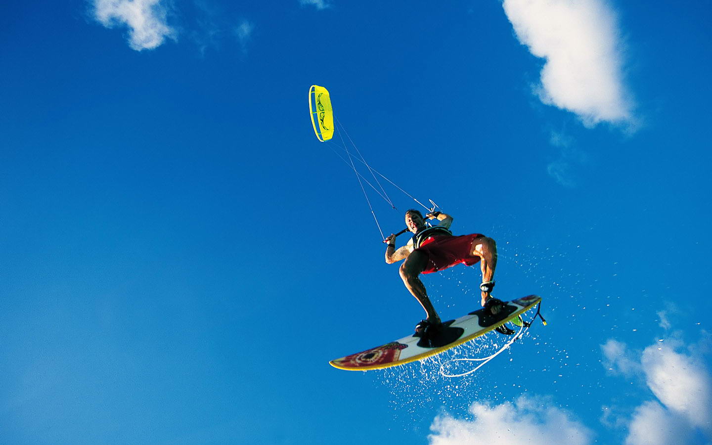 尔顿都是极 尔顿都是极