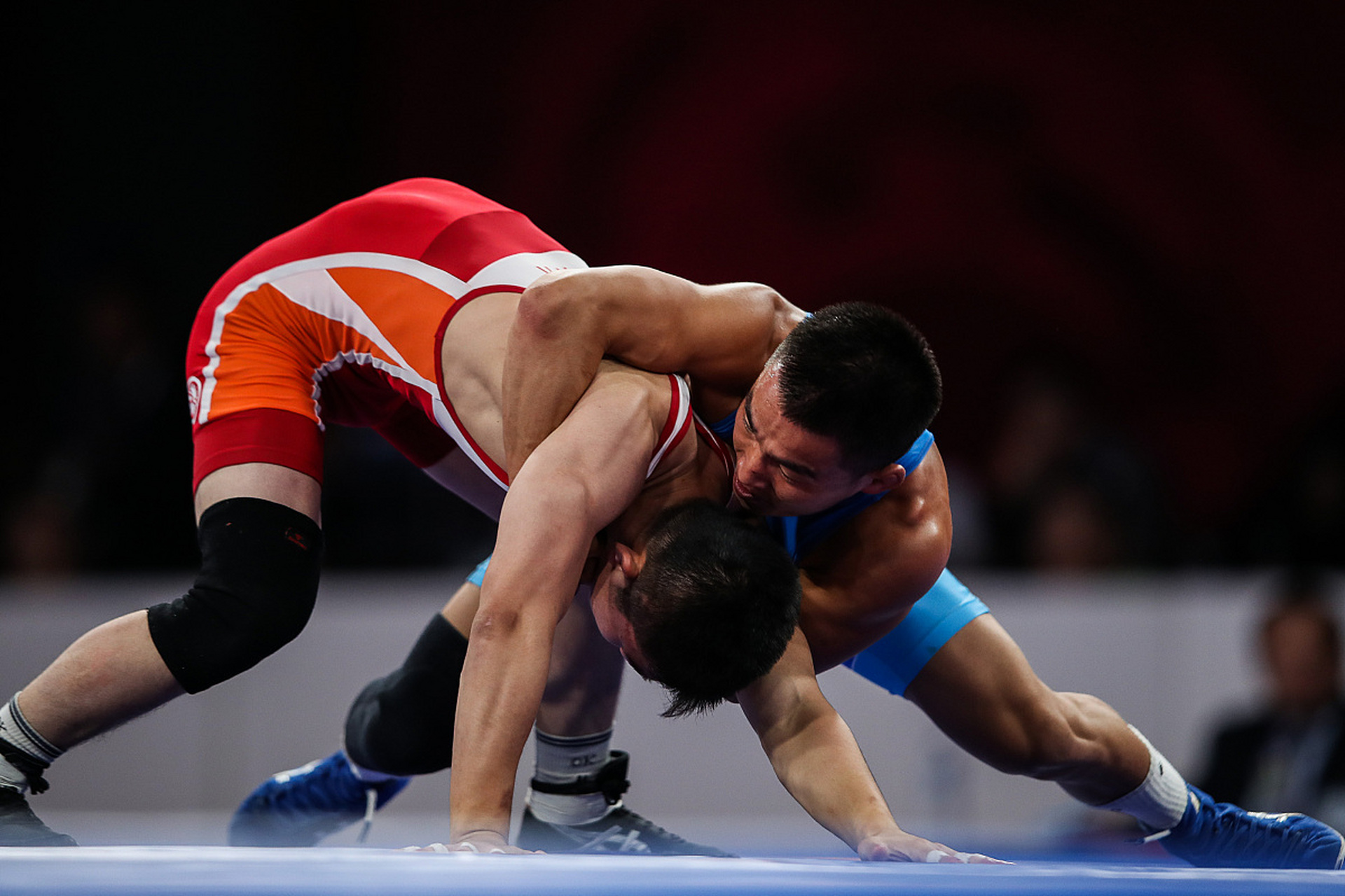 媒体与明星 媒体与明星