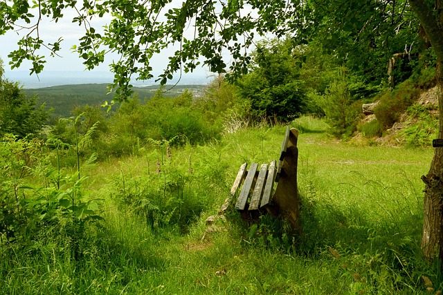 这也是尤文 这也是尤文